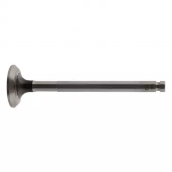 Soupape d'échappement FEBI BILSTEIN 19891
