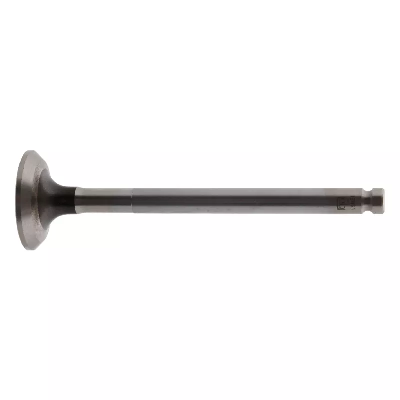 Soupape d'échappement FEBI BILSTEIN 19891