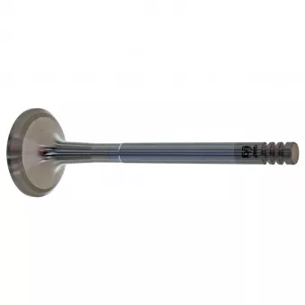 Soupape d'échappement FEBI BILSTEIN 19997