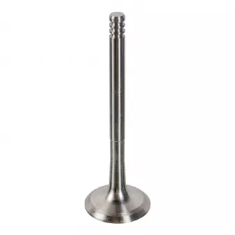 Soupape d'échappement FEBI BILSTEIN 19998