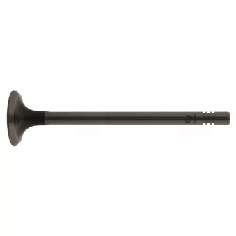 Soupape d'échappement FEBI BILSTEIN 21014