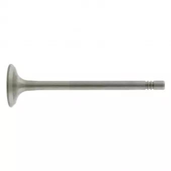 Soupape d'échappement FEBI BILSTEIN