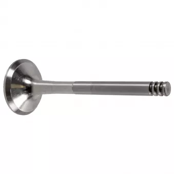 Soupape d'échappement FEBI BILSTEIN 21022