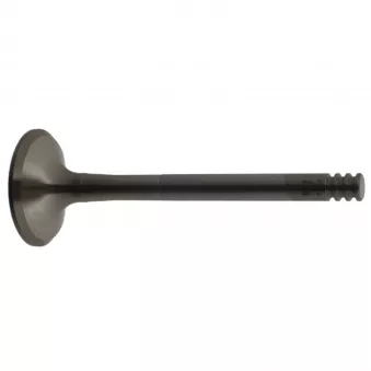 Soupape d'échappement FEBI BILSTEIN