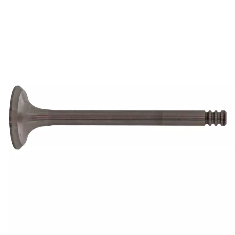Soupape d'échappement FEBI BILSTEIN 21028