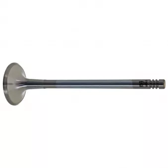 Soupape d'échappement FEBI BILSTEIN 21036