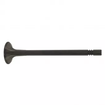 Soupape d'échappement FEBI BILSTEIN 21212