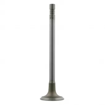 Soupape d'échappement FEBI BILSTEIN 21807