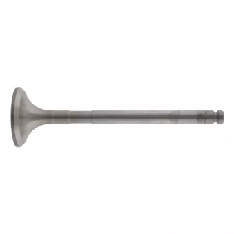 Soupape d'échappement FEBI BILSTEIN