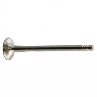 Soupape d'échappement FEBI BILSTEIN 22061