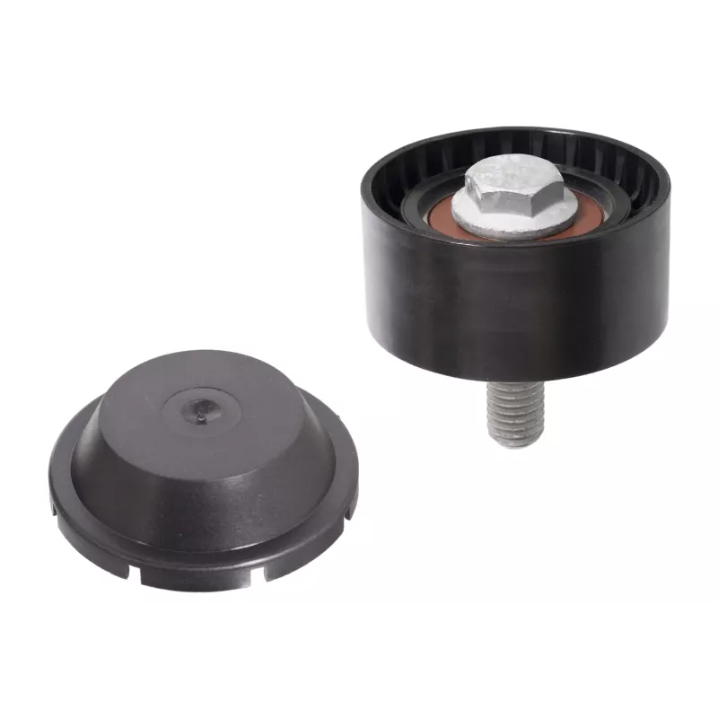 Poulie, courroie de distribution FEBI BILSTEIN 22366
