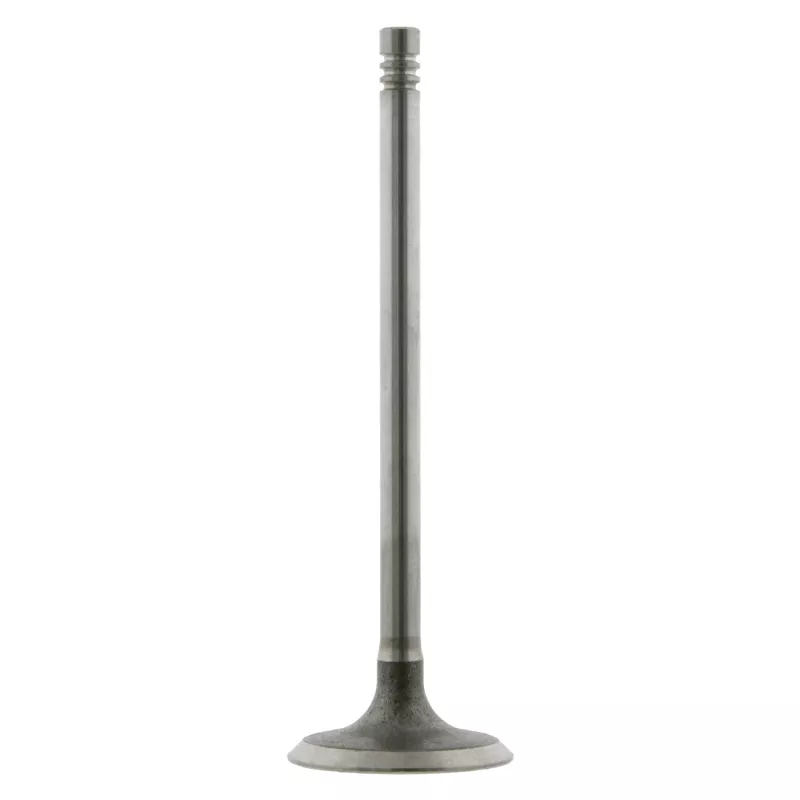 Soupape d'admission FEBI BILSTEIN 24160