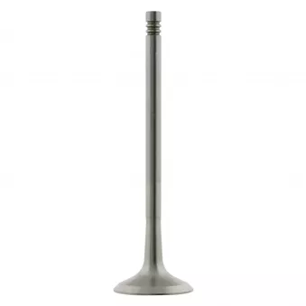 Soupape d'échappement FEBI BILSTEIN 24161