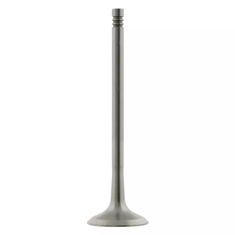 Soupape d'échappement FEBI BILSTEIN 24161