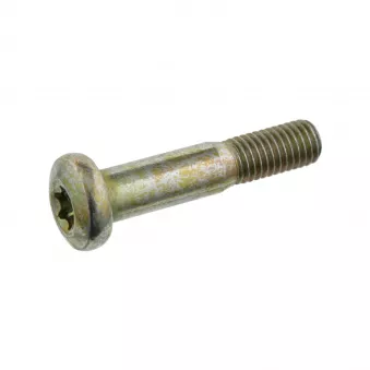 Boulon FEBI BILSTEIN 24391