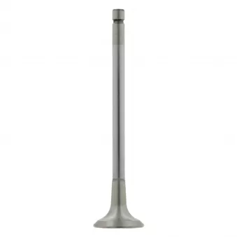 Soupape d'échappement FEBI BILSTEIN 26030
