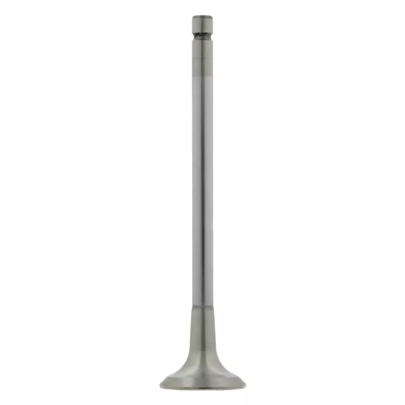 Soupape d'échappement FEBI BILSTEIN 26030