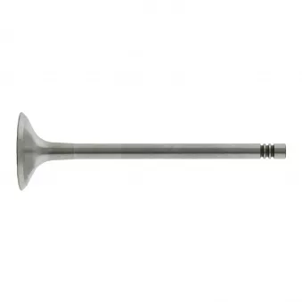 Soupape d'échappement FEBI BILSTEIN 26527