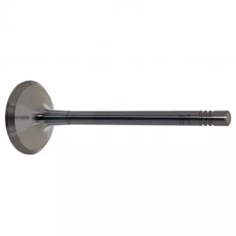 Soupape d'échappement FEBI BILSTEIN 28464