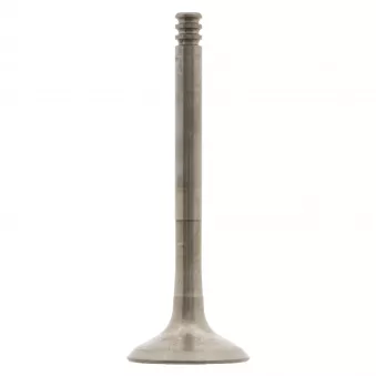 Soupape d'échappement FEBI BILSTEIN 28547
