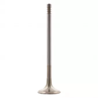 Soupape d'échappement FEBI BILSTEIN 28633