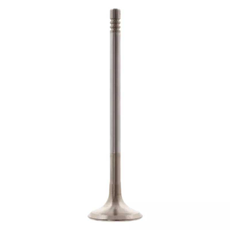 Soupape d'échappement FEBI BILSTEIN 28633