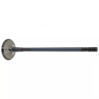 Soupape d'échappement FEBI BILSTEIN 28641