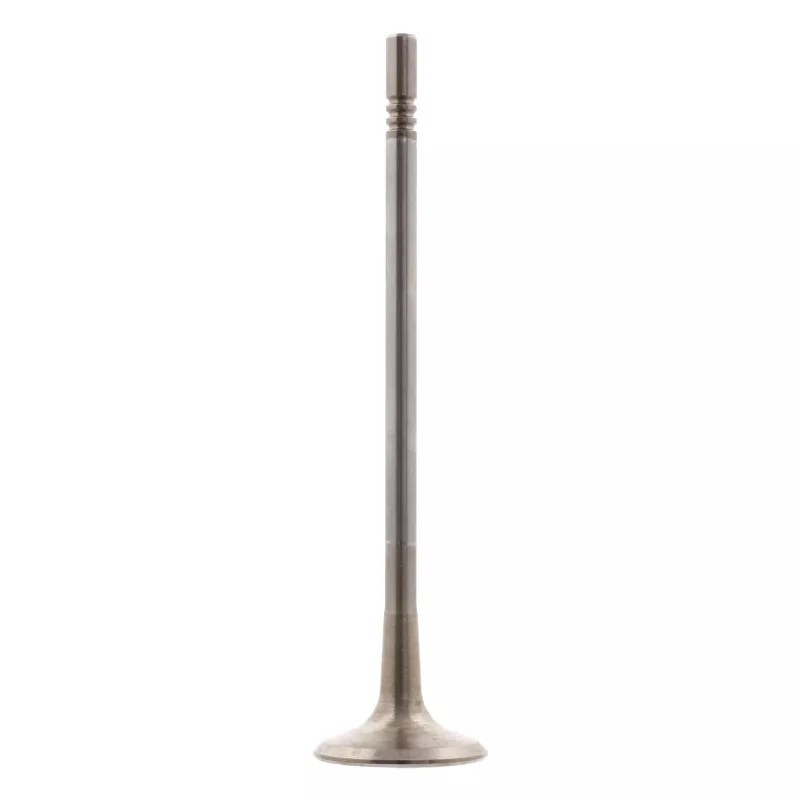 Soupape d'échappement FEBI BILSTEIN 28643