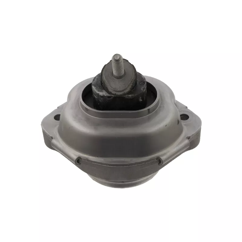 Support moteur FEBI BILSTEIN 31017