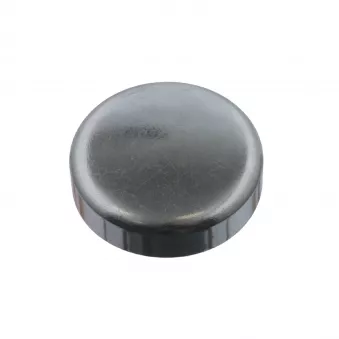 Bouchon de dilatation FEBI BILSTEIN 31793