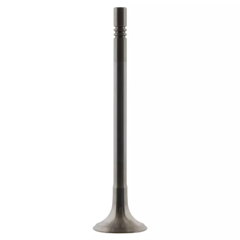 Soupape d'échappement FEBI BILSTEIN 32341