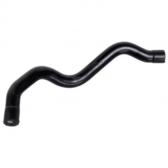 Tuyau, ventilation de carter-moteur FEBI BILSTEIN