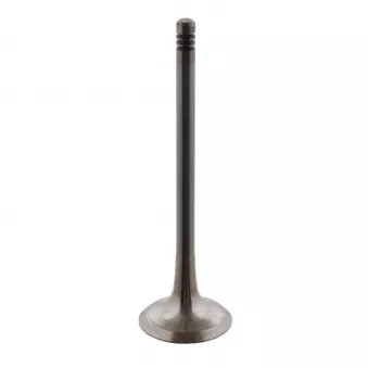 Soupape d'échappement FEBI BILSTEIN 34159