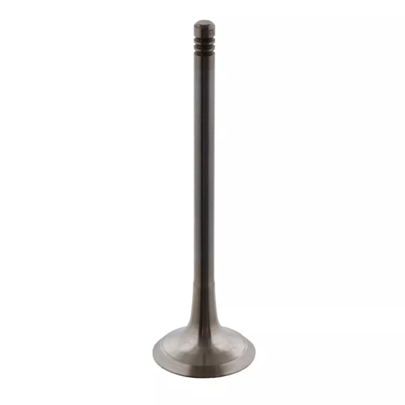 Soupape d'échappement FEBI BILSTEIN 34159