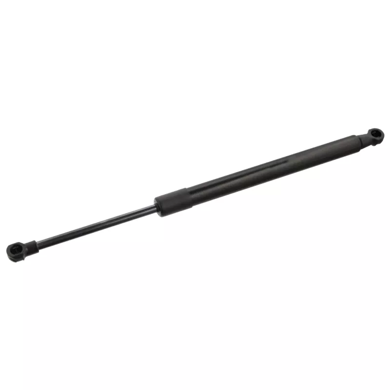 Vérin de hayon, de coffre FEBI BILSTEIN 34200
