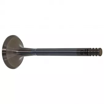 Soupape d'échappement FEBI BILSTEIN 34531