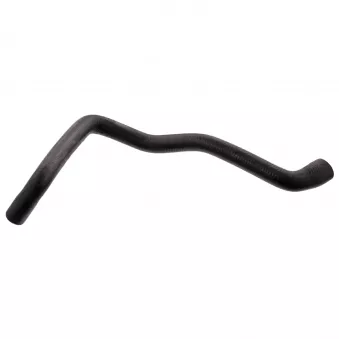 Durite de radiateur avant droit FEBI BILSTEIN 36142