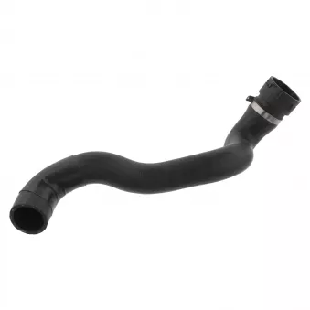 Durite de radiateur FEBI BILSTEIN 36148