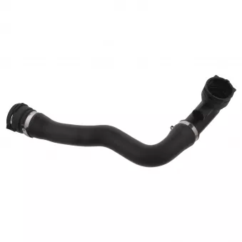 Durite de radiateur avant droit FEBI BILSTEIN 36596