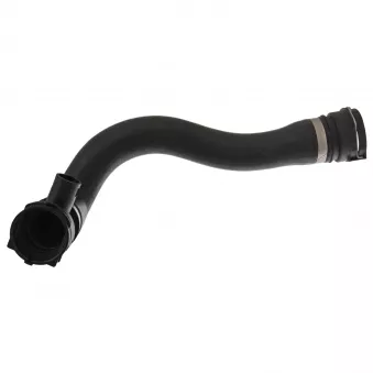Durite de radiateur avant droit FEBI BILSTEIN 36766
