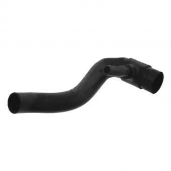 Durite de radiateur FEBI BILSTEIN 36781