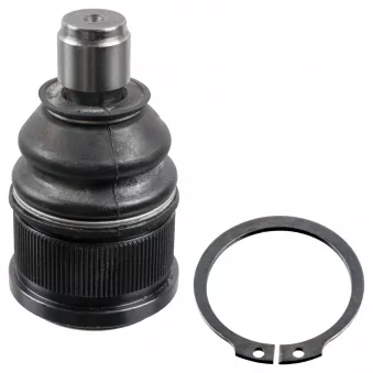 Rotule de suspension FEBI BILSTEIN 41884