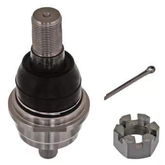 Rotule de suspension FEBI BILSTEIN 43342