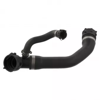 Durite de radiateur FEBI BILSTEIN 45280