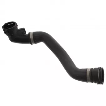 Durite de radiateur FEBI BILSTEIN 45815