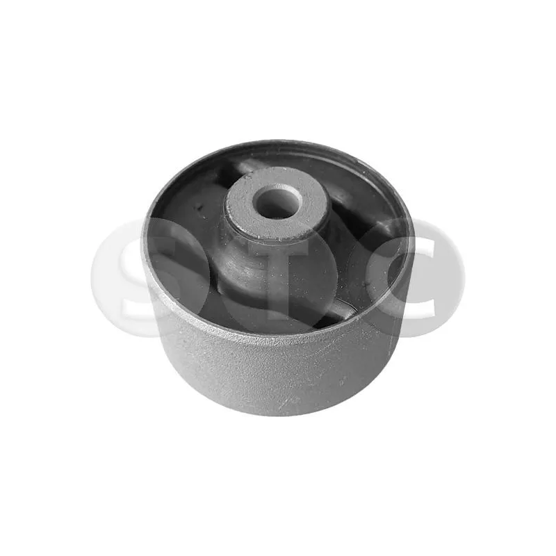 Suspension, corps de l'essieu STC T458003