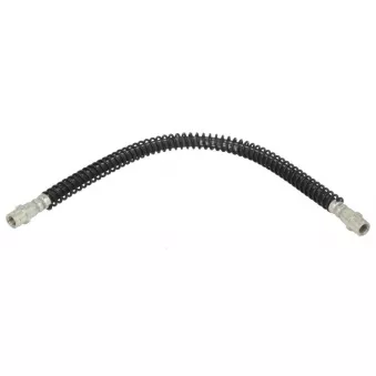 Flexible de frein DELPHI LH7538