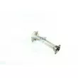 Catalyseur WALKER 18356 - Visuel 1