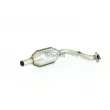 Catalyseur WALKER 20055 - Visuel 2