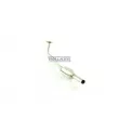 Catalyseur WALKER 20069 - Visuel 1